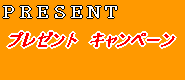 �v���[���g��W